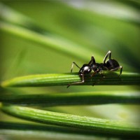 /album/les-parents-fertois/photolia-a05-jpg/